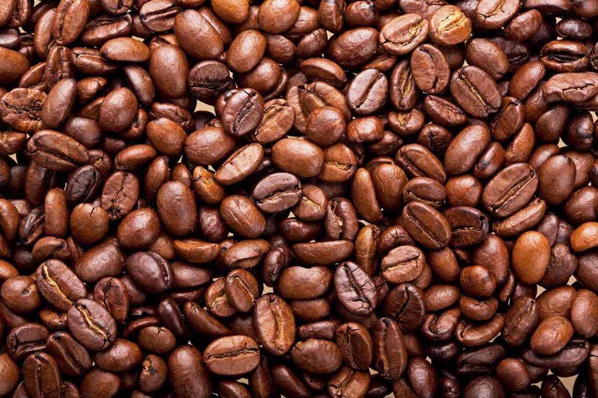 Tracing the Evolution of the World’s Most Beloved Coffee from Its Ancient Origins to Its Modern Renaissance
