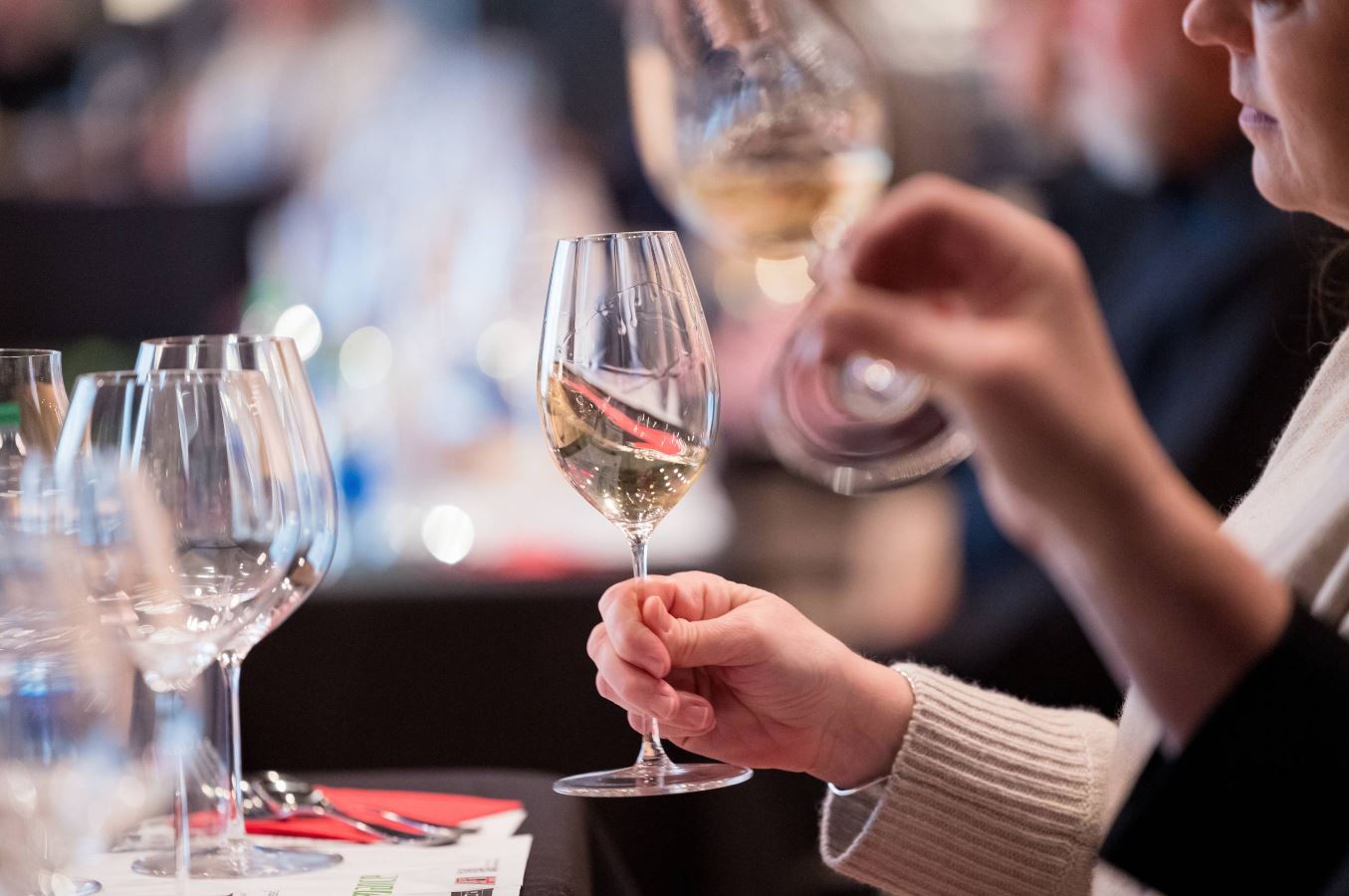 An Invitation to Engage Every Sense in the Journey of Understanding and Appreciating Wine Beyond Labels and Legends