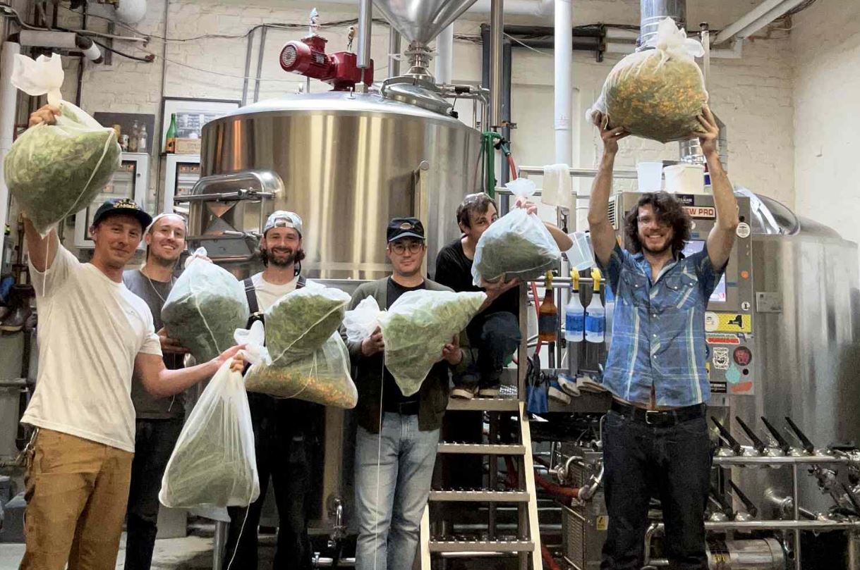 The Botanical Renaissance That Blurs the Line Between Brewing, Herbalism, and Culinary Artistry