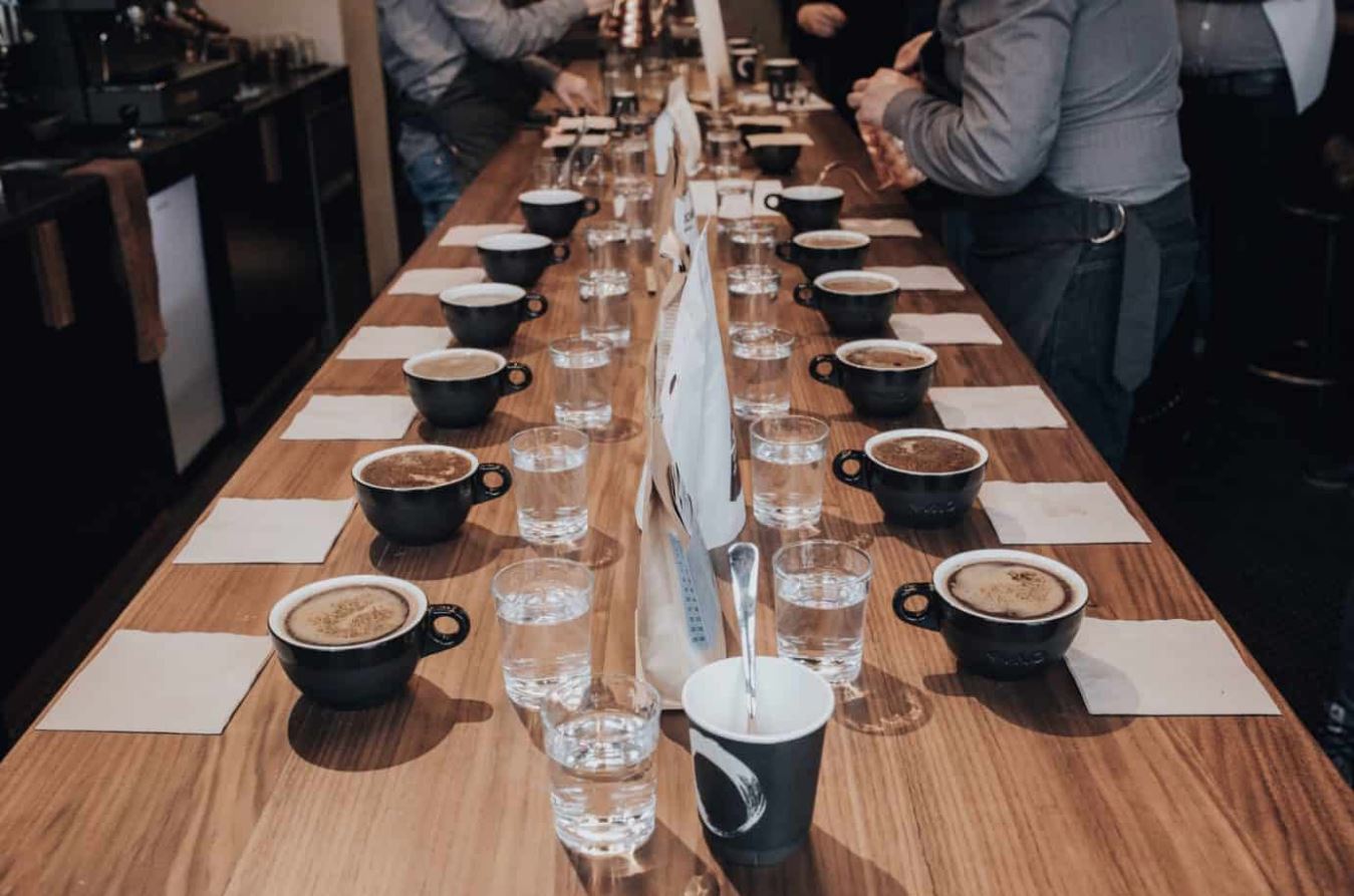Coffee Cupping Transforms Flavor Into a Vocabulary of the Senses